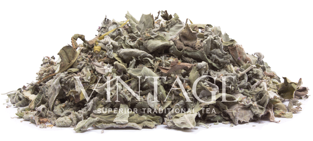 : мята горная